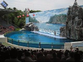 2004-07-09.1.safari_world.dolphins.video.320x240-6.7meg.bangkok.th 