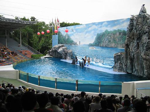 2004-07-09.safari_world.dolphins.1.bangkok.th 