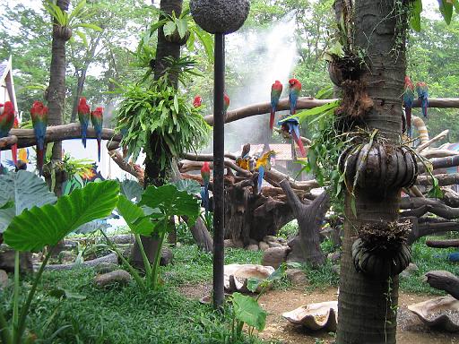 2004-07-09.safari_world.macaws.2.bangkok.th 