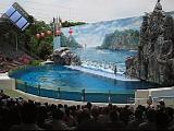 2004-07-09.1.safari_world.dolphins.video.320x240-6.7meg.bangkok.th.avi