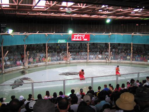 2004-07-11.sriracha_tiger_zoo.croc_show.2.chon_buri.th 