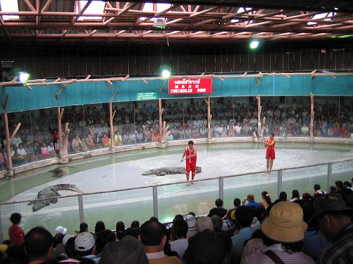2004-07-11.sriracha_tiger_zoo.croc_show.3.chon_buri.th 