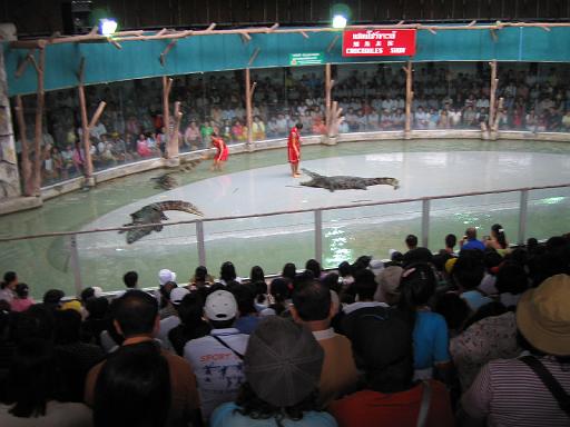 2004-07-11.sriracha_tiger_zoo.croc_show.5.chon_buri.th 