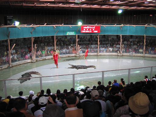 2004-07-11.sriracha_tiger_zoo.croc_show.6.chon_buri.th 