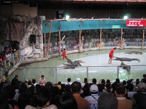 2004-07-11.sriracha_tiger_zoo.croc_show.7.fav.chon_buri.th 