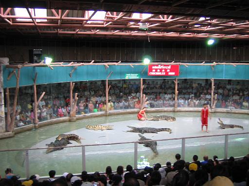 2004-07-11.sriracha_tiger_zoo.croc_show.8.chon_buri.th 
