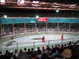 2004-07-11.sriracha_tiger_zoo.croc_show.2.chon_buri.th.jpg