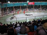 2004-07-11.sriracha_tiger_zoo.croc_show.5.chon_buri.th.jpg
