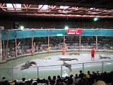 2004-07-11.sriracha_tiger_zoo.croc_show.8.chon_buri.th.jpg