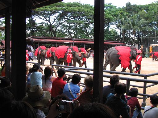 2004-07-10.tropical_gardens.elephant_show.3.nong_nooch.th 