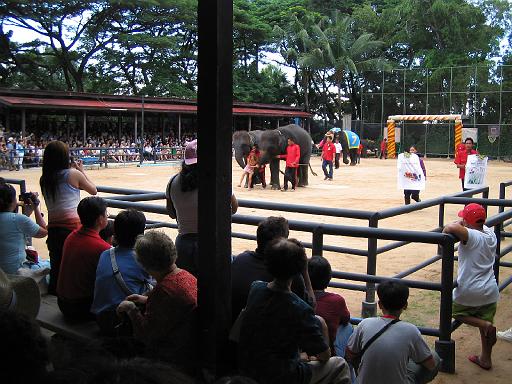 2004-07-10.tropical_gardens.elephant_show.6.nong_nooch.th 