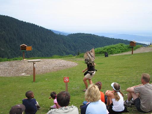 2004-07-14.grouse_mtn.raptor_show.horned_owl.4.vancouver.ca 