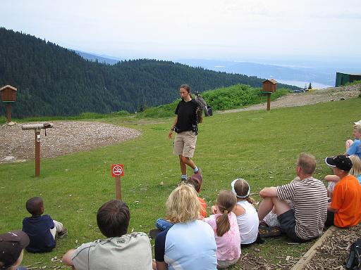 2004-07-14.grouse_mtn.raptor_show.perregrine_falcon.1.vancouver.ca 