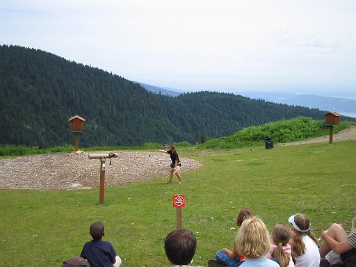 2004-07-14.grouse_mtn.raptor_show.perregrine_falcon.chase.1.vancouver.ca 