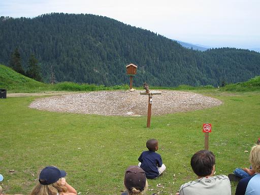 2004-07-14.grouse_mtn.raptor_show.red_tail_hawk.3.vancouver.ca 