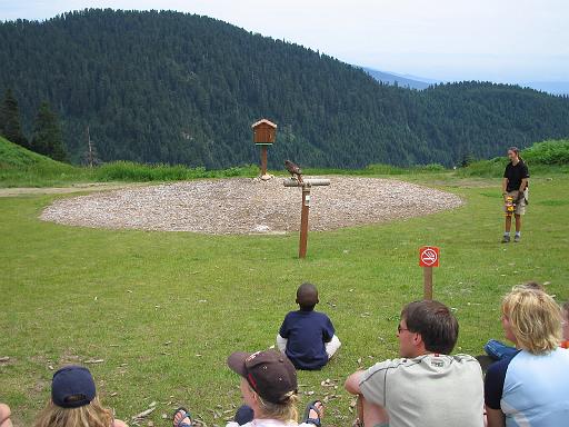 2004-07-14.grouse_mtn.raptor_show.red_tail_hawk.4.vancouver.ca 