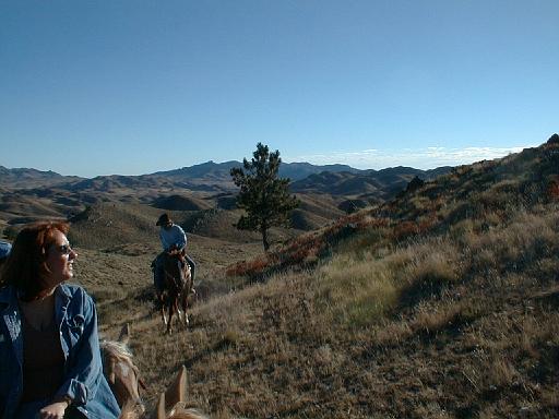 2000-09-03.horse_trail.nessa-snyder.flying_x_ranch.wheatland.wy.us 