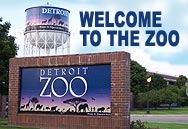 detroit zoo